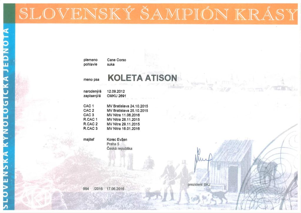Koleta Atison_slovenský šampion krásy