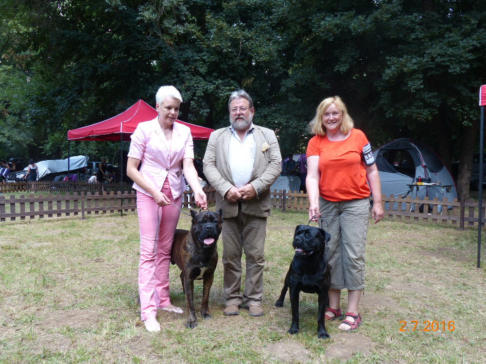 Vítězní psi z národní výstavy ve Velké Idě, sobota 2.7.2016 Vpravo - Koleta Atison a Jana Korcová - třída šampiónů - V1, CAC, BOS Uprostřed - rozhodčí Milan Bíroš Vlevo - Percy Atison a Radka Koubíčková - mezitřída - V1, CAC, BOB Winners of the National Dog Show in Velká Ida, Saturday 2nd of July, 2016 On the right - Koleta Atison and Jana Korcová - champion class - Exc.1, CAC, BOS In the middle - judge Milan Bíroš On the left - Percy Atison and Radka Koubíčková - intermediate class - Exc.1, CAC, BOB